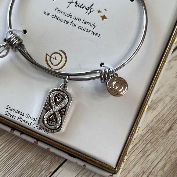 New! Friends Are Family We Choose Infinity Bracelet Silver Plated Charms NWT Box - Picture 5 of 12